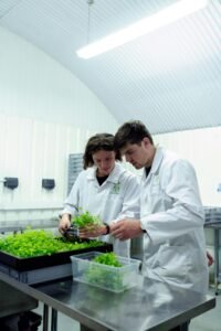 Six Innovations Shaping the Future of Greenhouse Farming