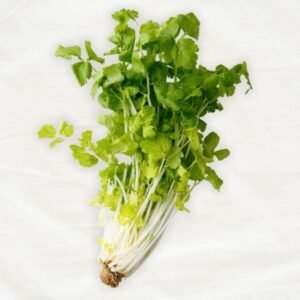 Celery