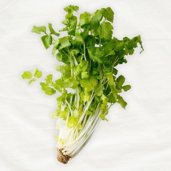 Celery