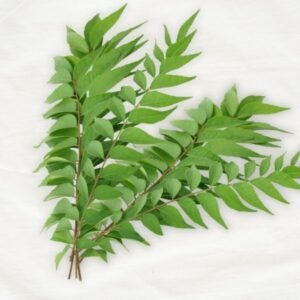 Curry Leaves