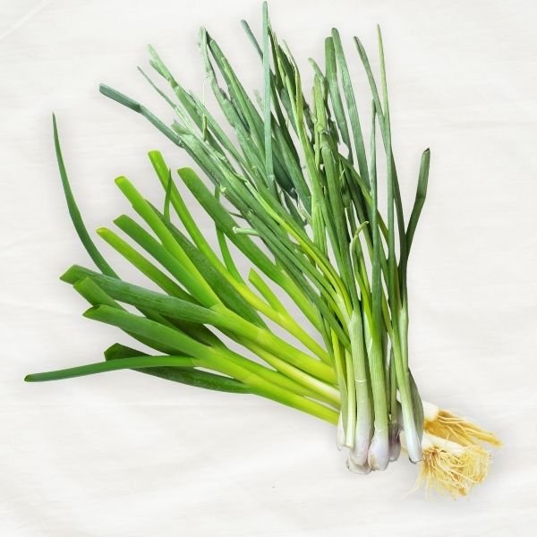 Onion Leaves