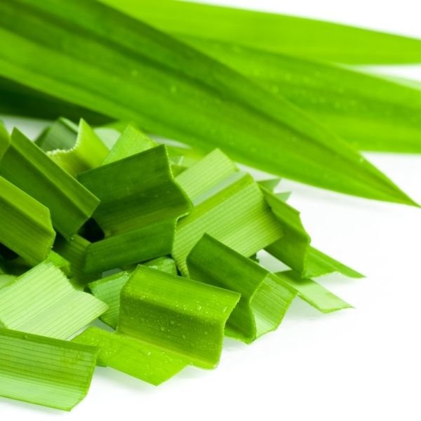 Pandan Leaves