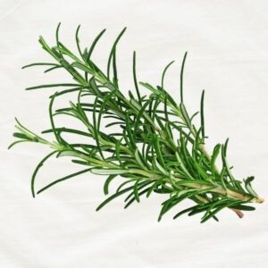 Rosemary