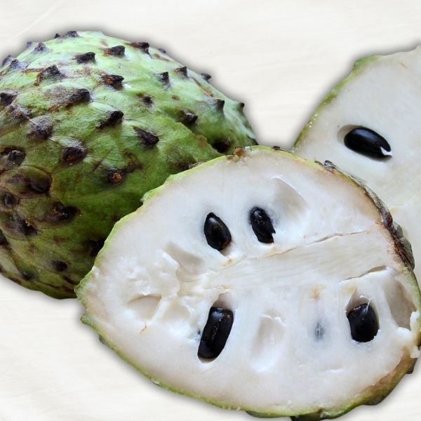 Soursop